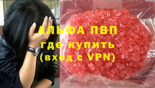стаф Краснослободск