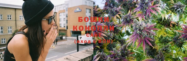 стаф Краснослободск