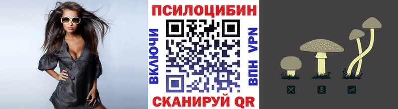 Купить закладки  Покровск  Псилоцибиновые грибы Psilocybine cubensis 